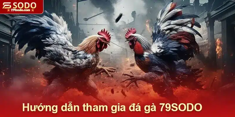 Hướng dẫn quy trình tham gia đá gà 79SODO