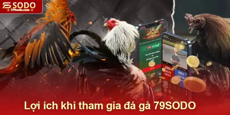 Lợi ích khi tham gia đá gà 79SODO