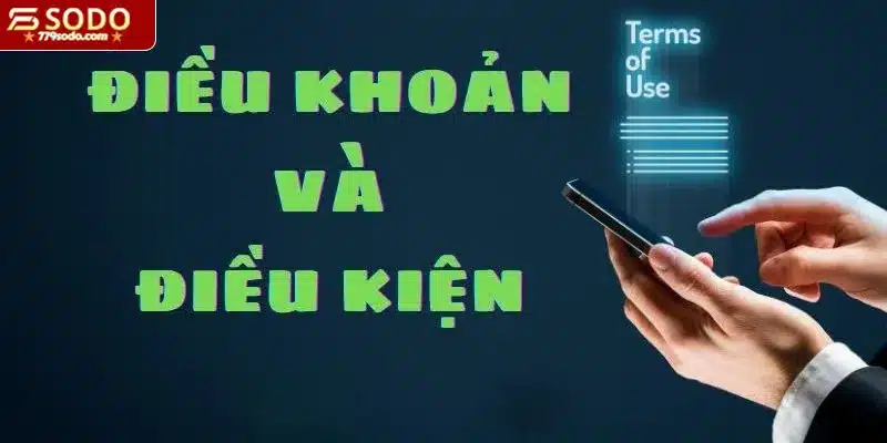 Các quy định về điều khoản điều kiện của 79SODO